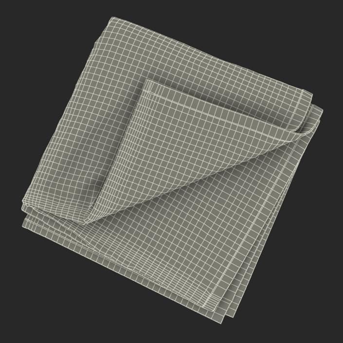 3D Beach Towel 2 model