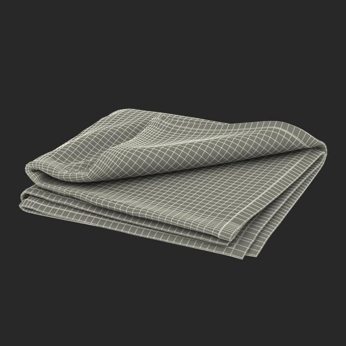 3D Beach Towel 2 model