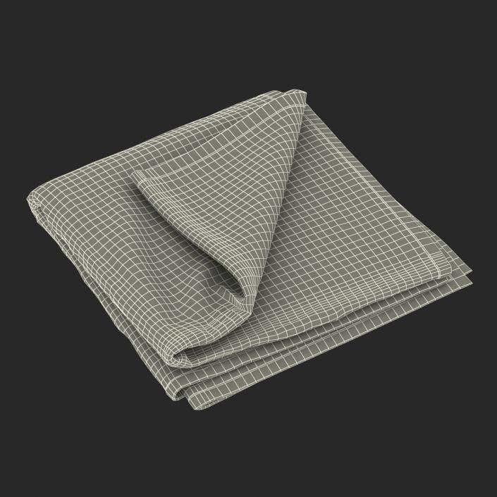 3D Beach Towel 2 model