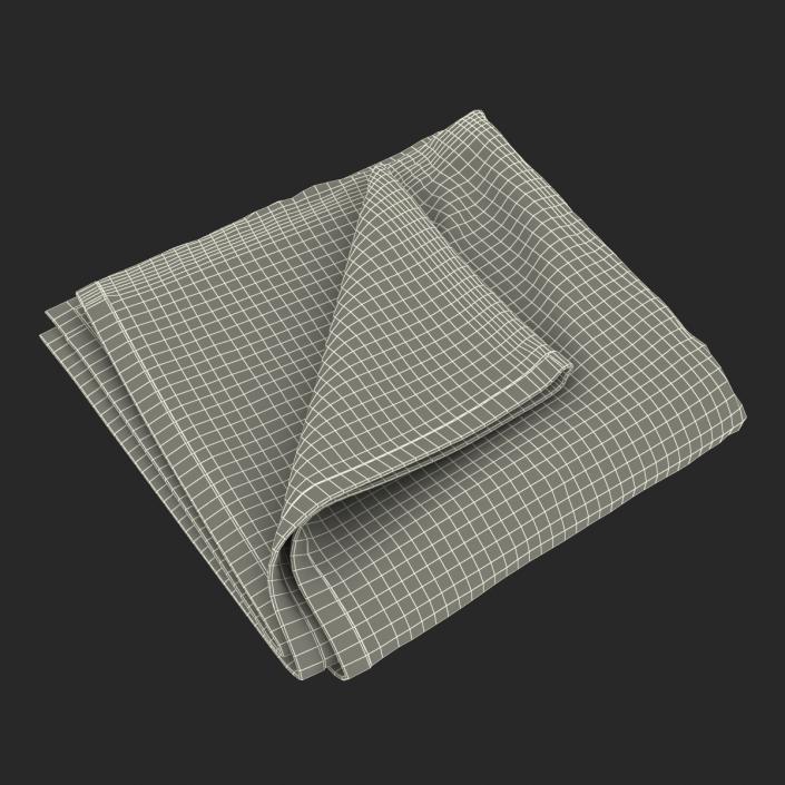 3D Beach Towel 2 model