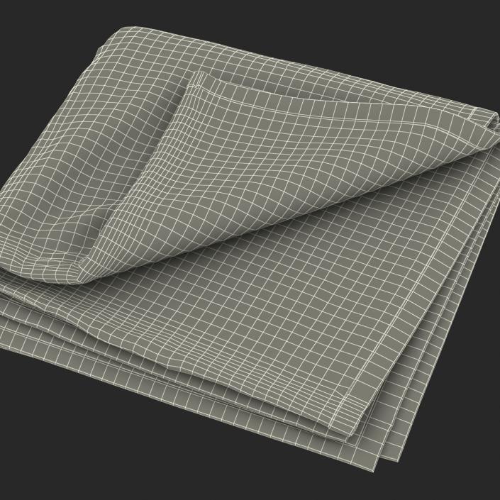 3D Beach Towel 2 model