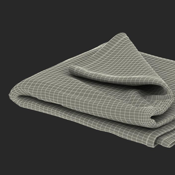 3D Beach Towel 2 model