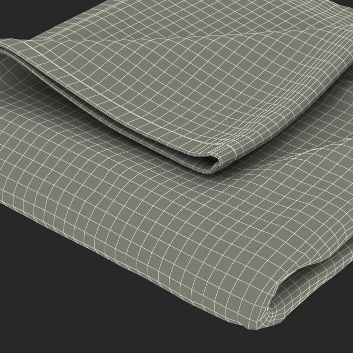 3D Beach Towel 2 model