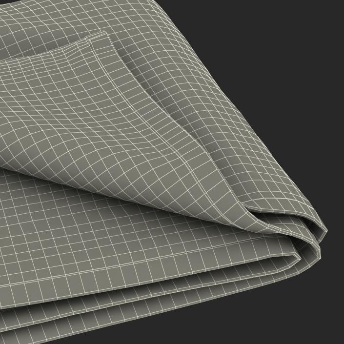 3D Beach Towel 2 model