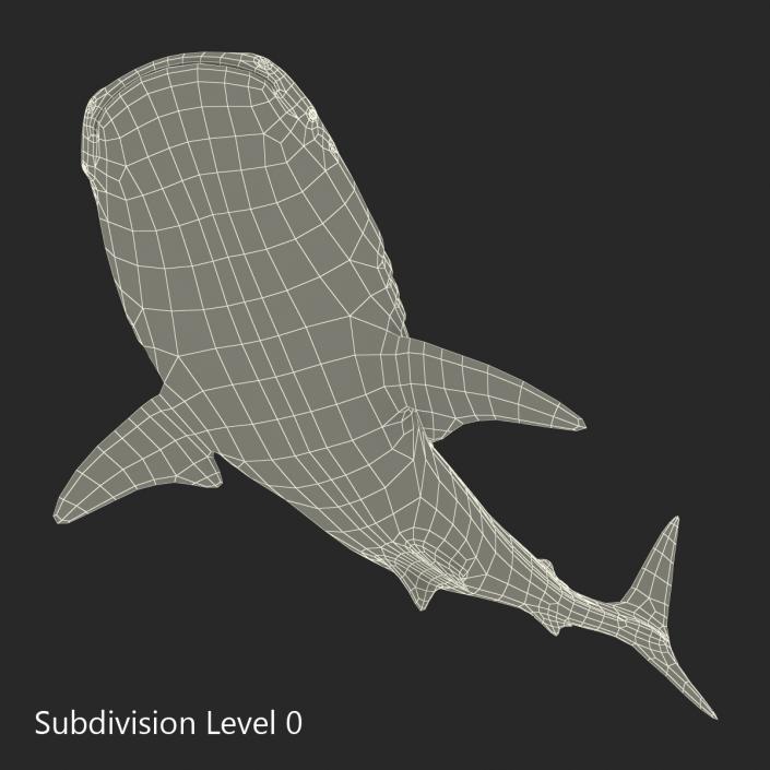 3D Whale Shark Pose 2 model