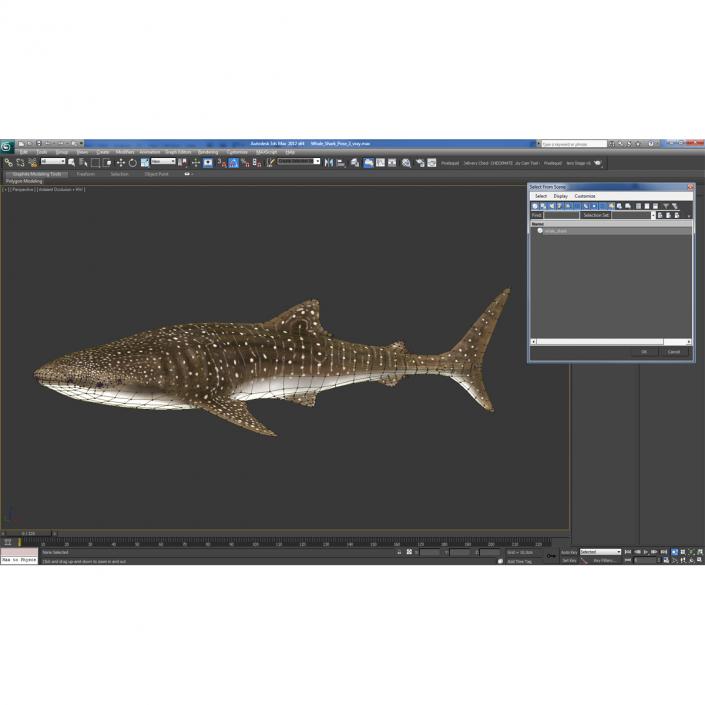 3D Whale Shark Pose 2 model