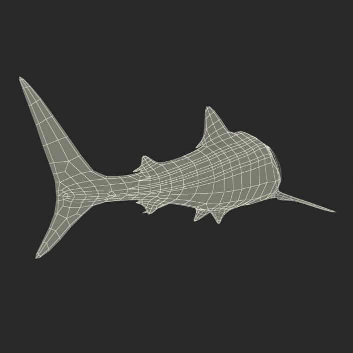 3D Whale Shark Pose 2 model