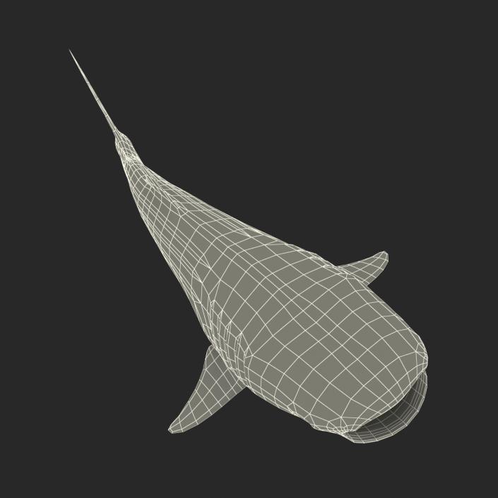 3D Whale Shark Pose 3 model