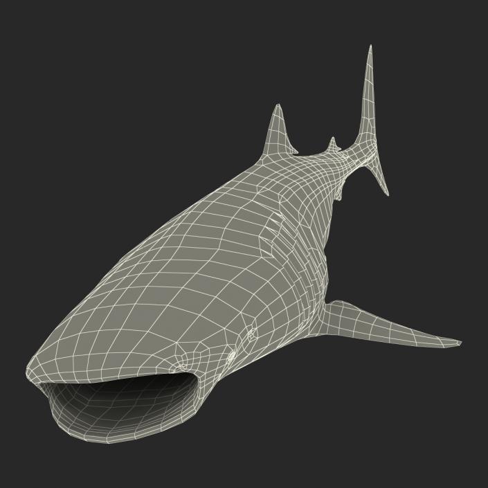 3D Whale Shark Pose 3 model