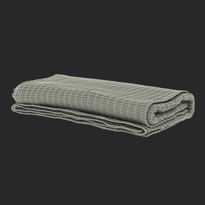 3D Beach Towel 3 model