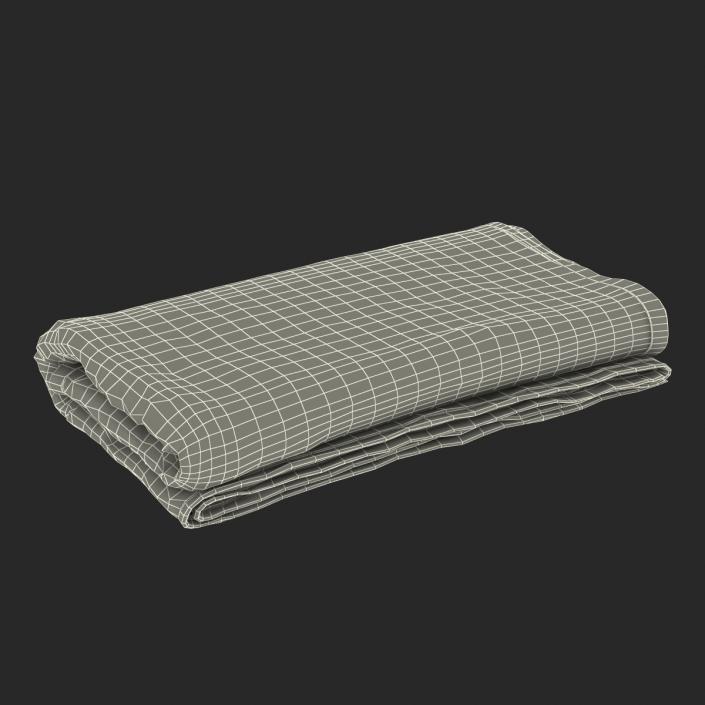 3D Beach Towel 3 model