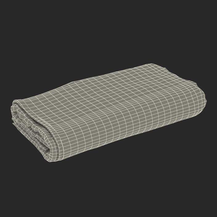 3D Beach Towel 3 model