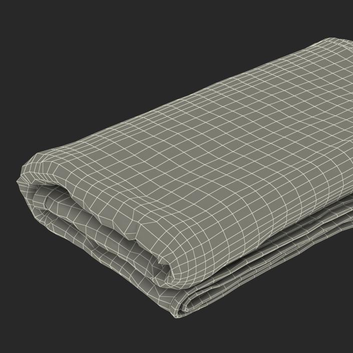 3D Beach Towel 3 model