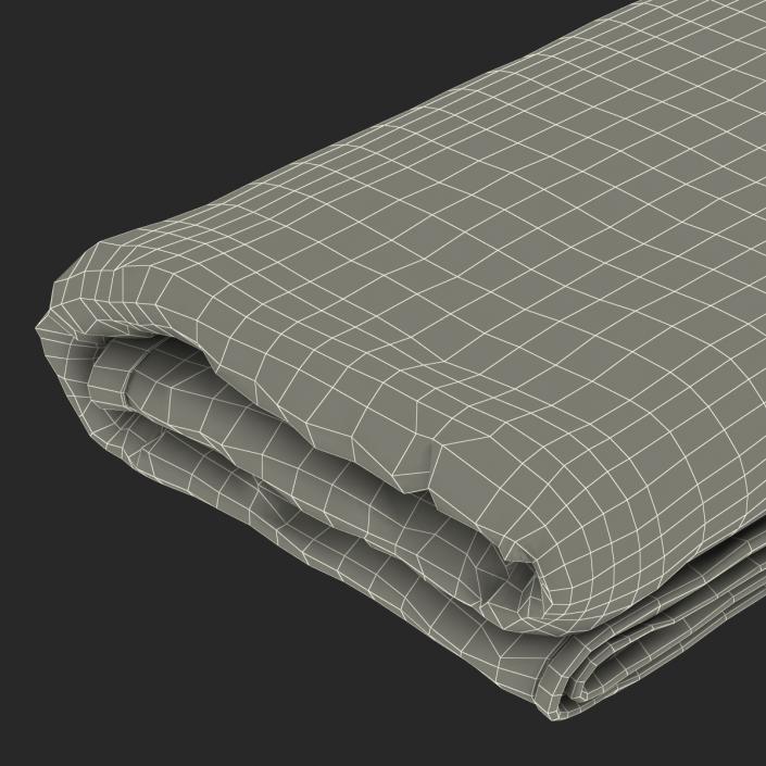 3D Beach Towel 3 model