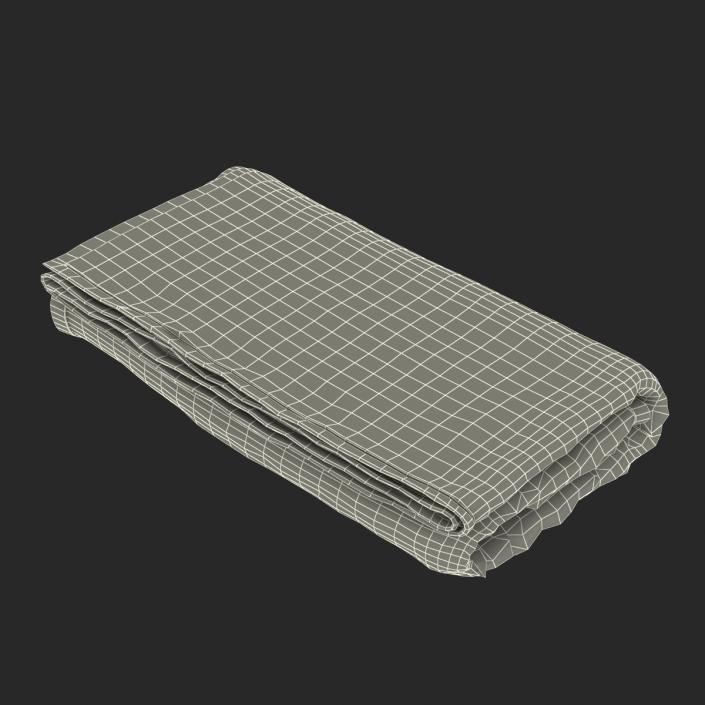 3D Beach Towel 3 model