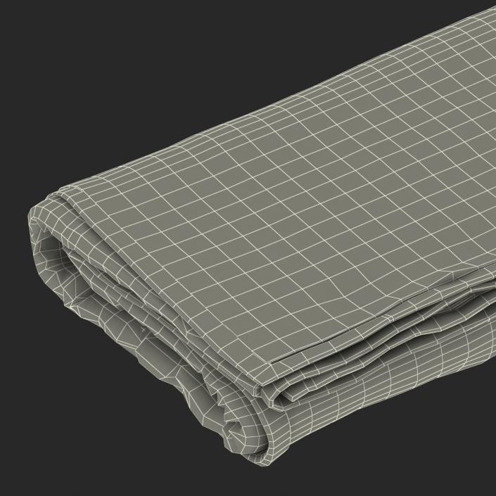 3D Beach Towel 3 model