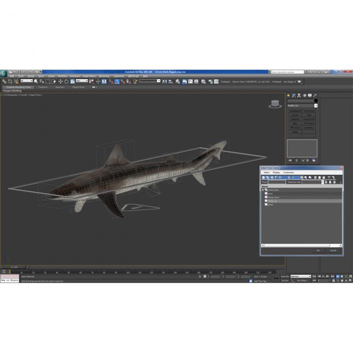 School Shark Rigged 3D model