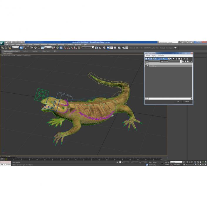 3D Bearded Dragon Rigged