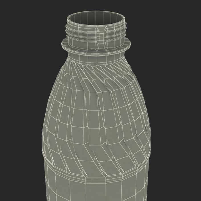 3D model Plastic Water Bottle