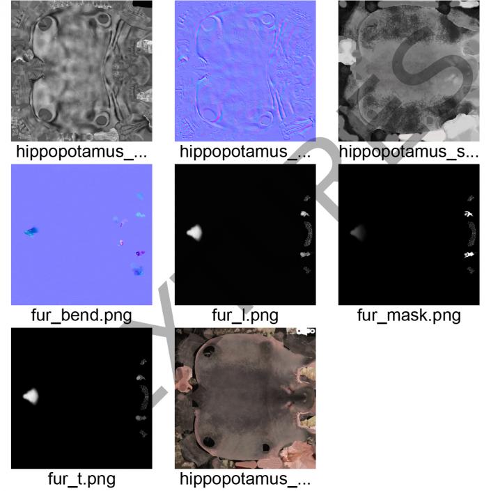 3D Hippopotamus Rigged with Fur model