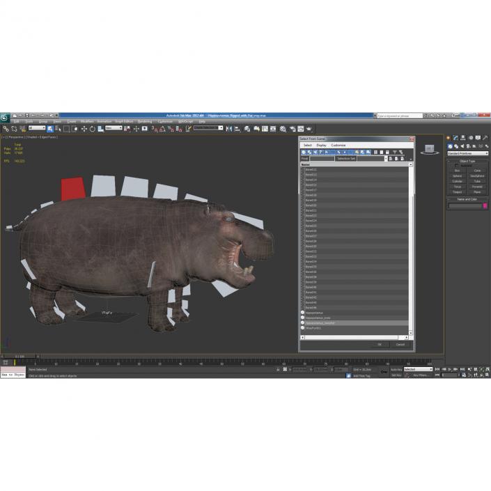 3D Hippopotamus Rigged with Fur model