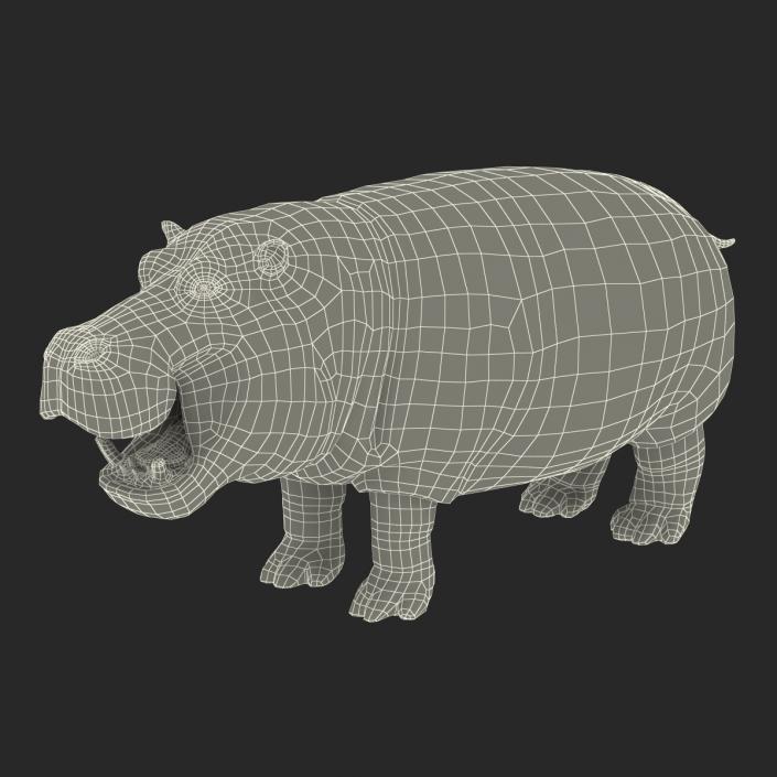 3D Hippopotamus Rigged with Fur model