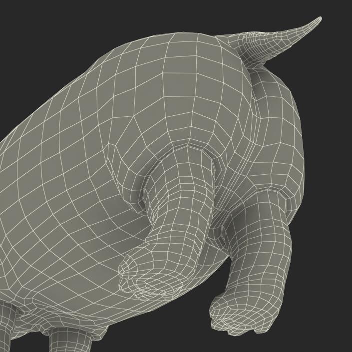 3D Hippopotamus Rigged with Fur model