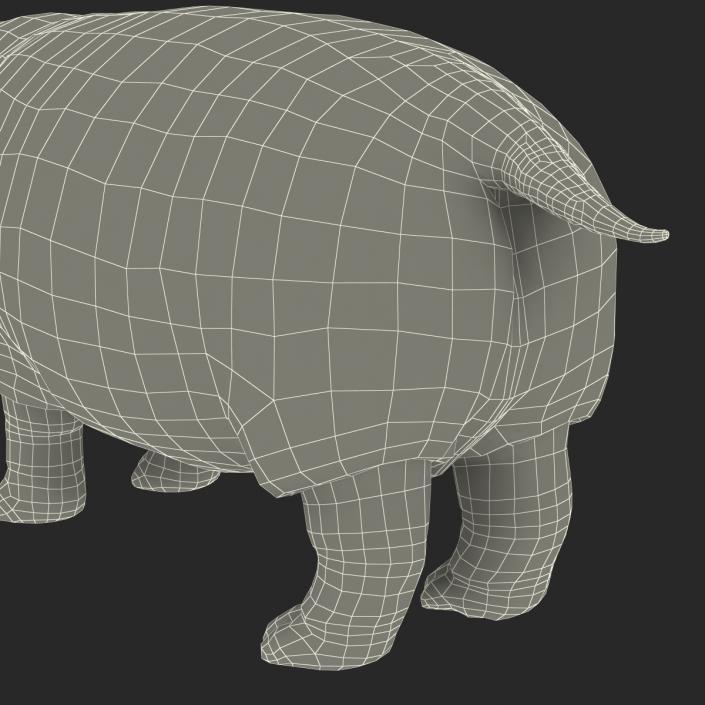 3D Hippopotamus Rigged with Fur model