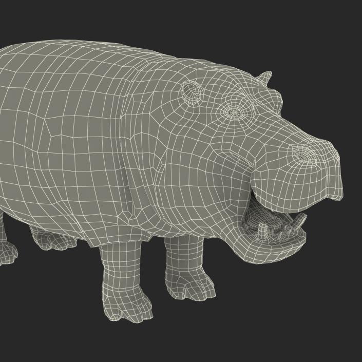 3D Hippopotamus Rigged with Fur model