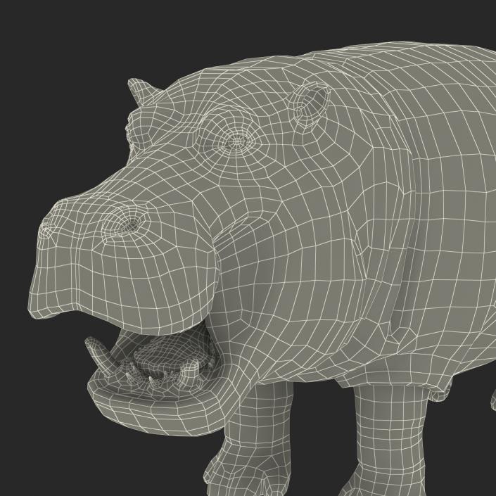 3D Hippopotamus Rigged with Fur model