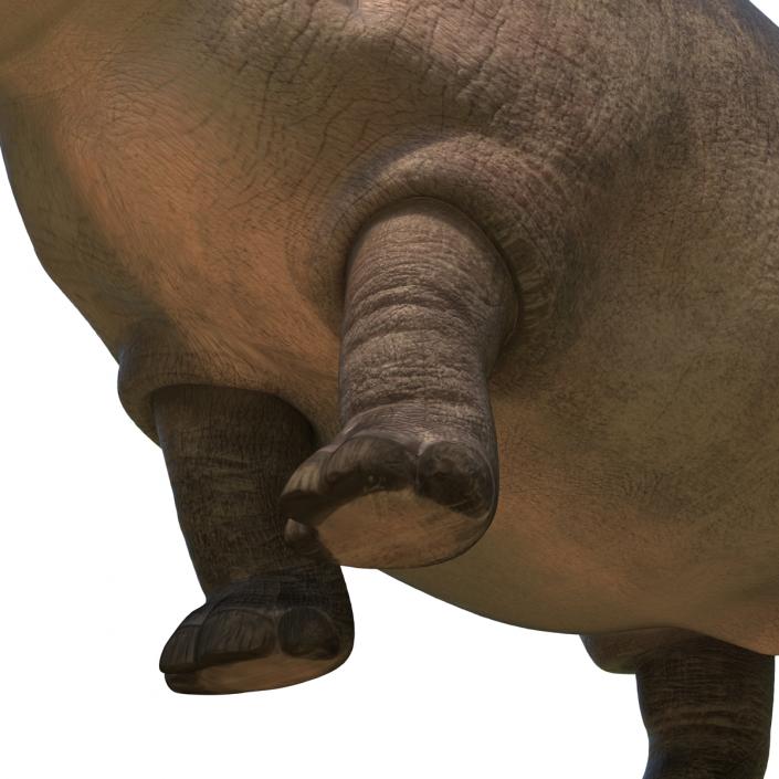 3D Hippopotamus Pose 2 with Fur model