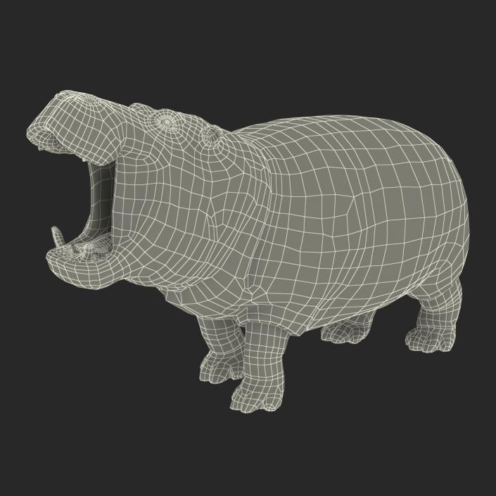 3D Hippopotamus Pose 2 with Fur model