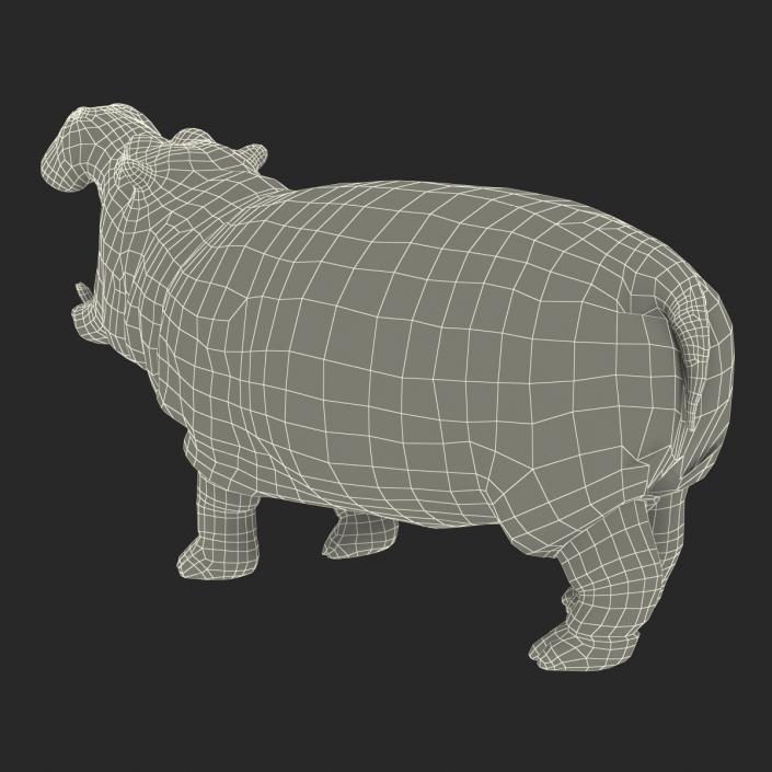 3D Hippopotamus Pose 2 with Fur model