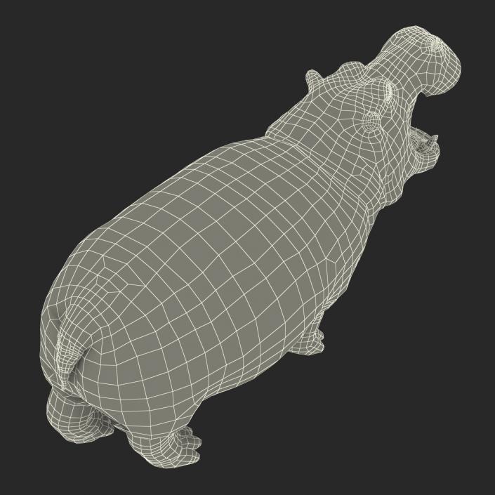 3D Hippopotamus Pose 2 with Fur model