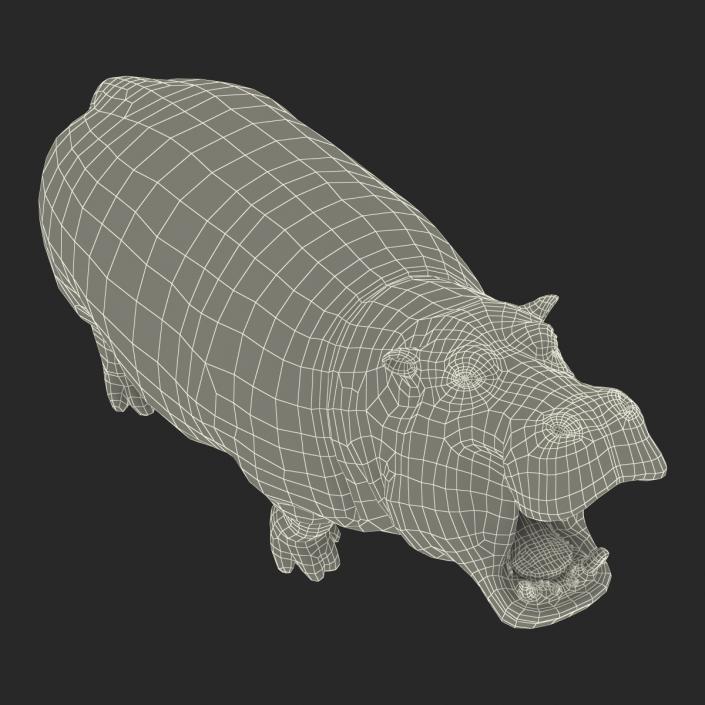 3D Hippopotamus Pose 2 with Fur model