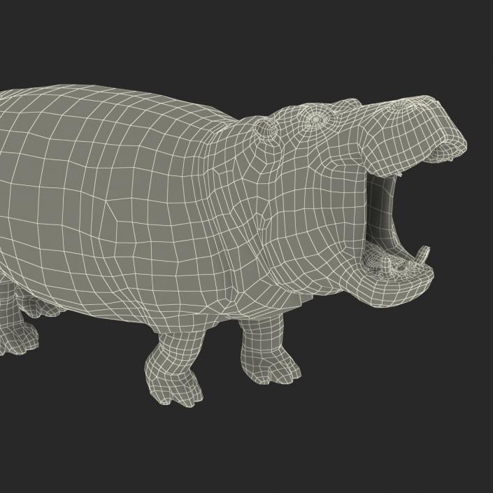 3D Hippopotamus Pose 2 with Fur model