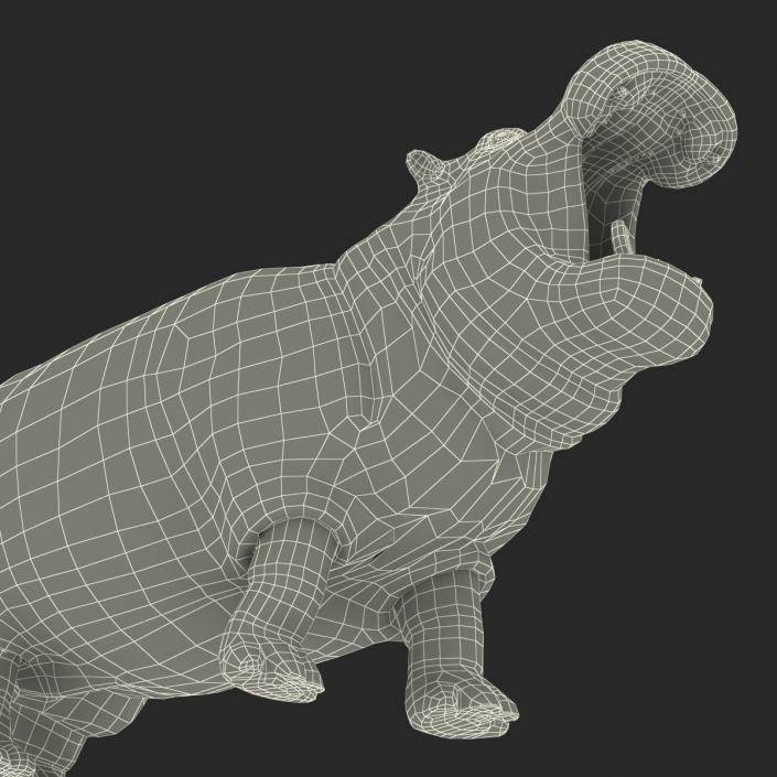 3D Hippopotamus Pose 2 with Fur model