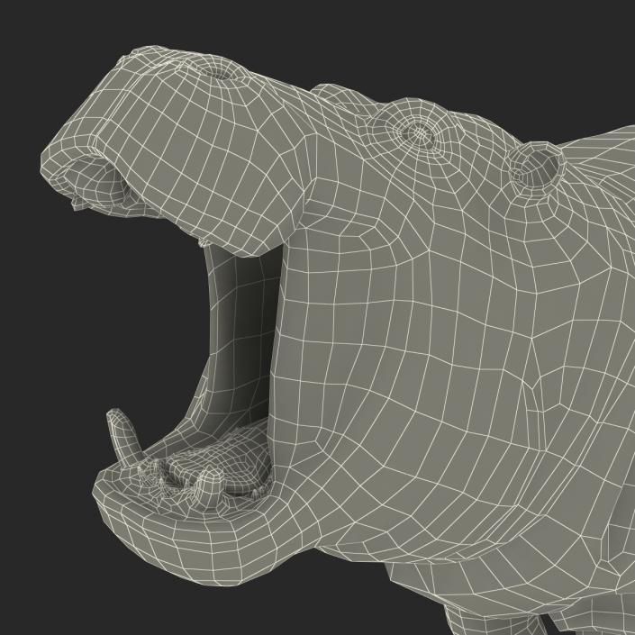 3D Hippopotamus Pose 2 with Fur model