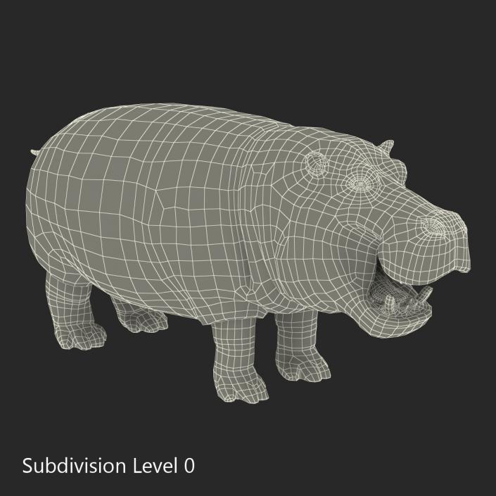 3D Hippopotamus 2 with Fur model