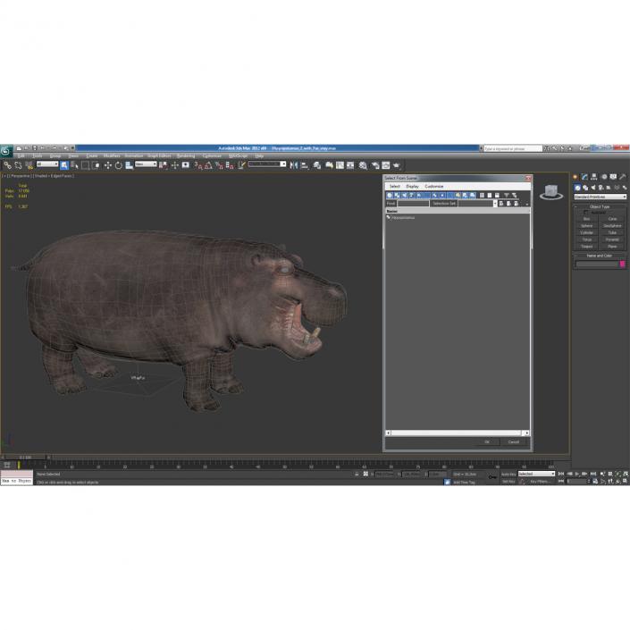 3D Hippopotamus 2 with Fur model