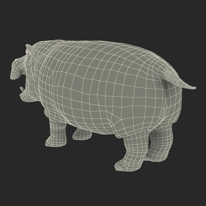 3D Hippopotamus 2 with Fur model