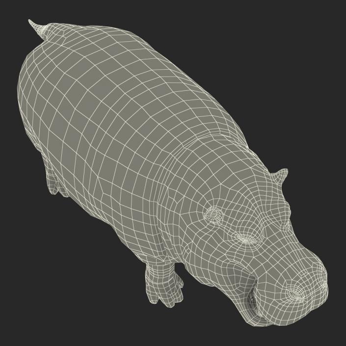 3D Hippopotamus 2 with Fur model