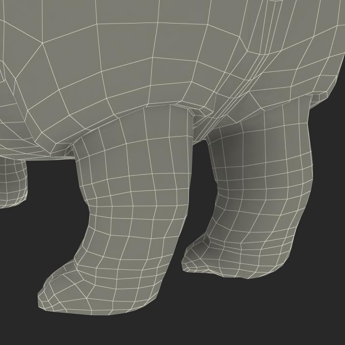 3D Hippopotamus 2 with Fur model