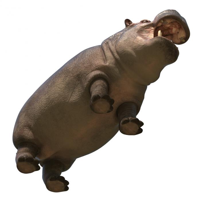 Hippopotamus Rigged 3D model