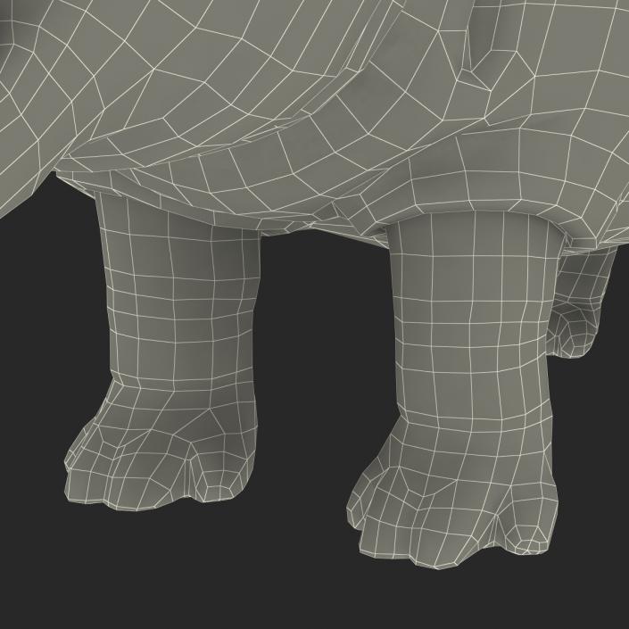 Hippopotamus Rigged 3D model