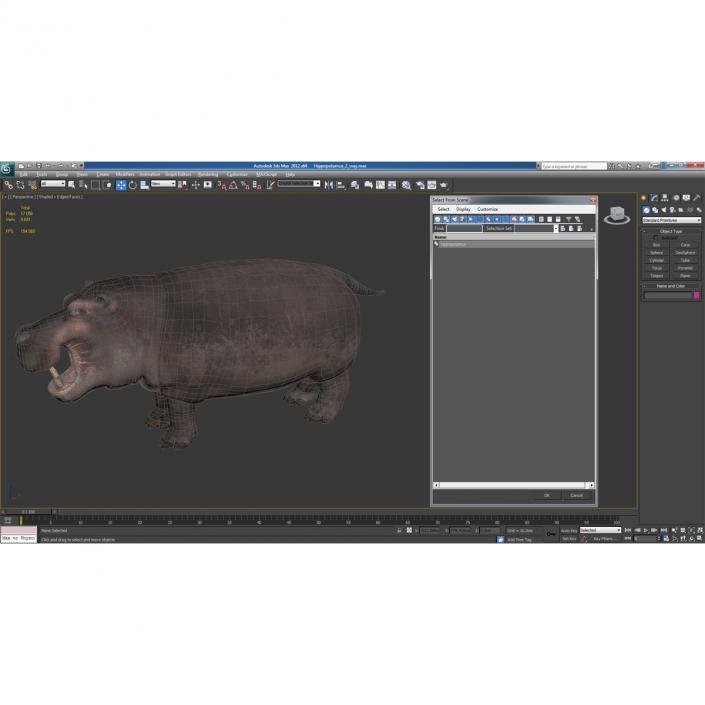 Hippopotamus 2 3D model