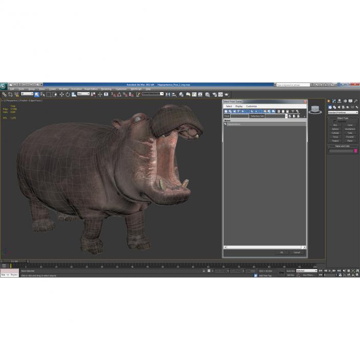 Hippopotamus Pose 2 3D model