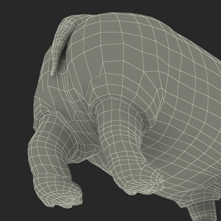 Hippopotamus Pose 2 3D model