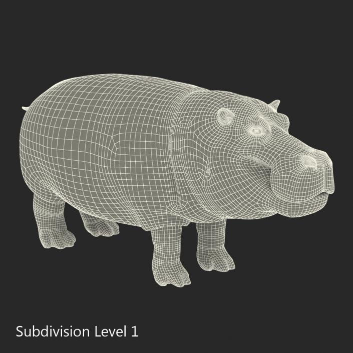 3D Hippopotamus with Fur