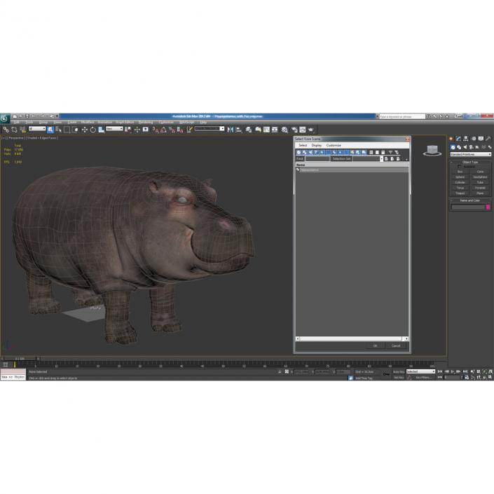 3D Hippopotamus with Fur